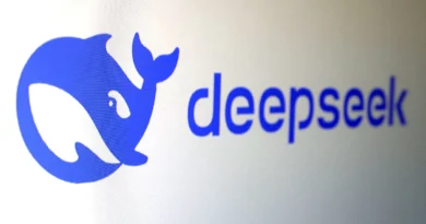 Deepseek Logotipo